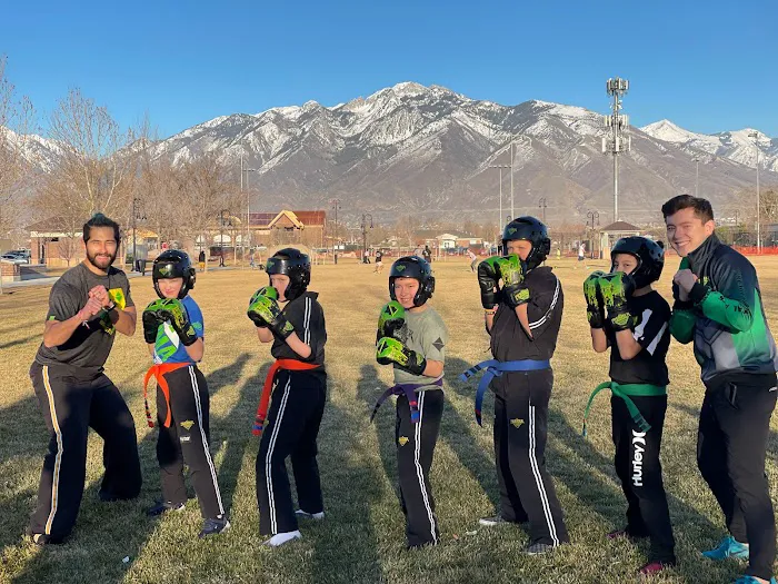 Premier Martial Arts Riverton Picture 4