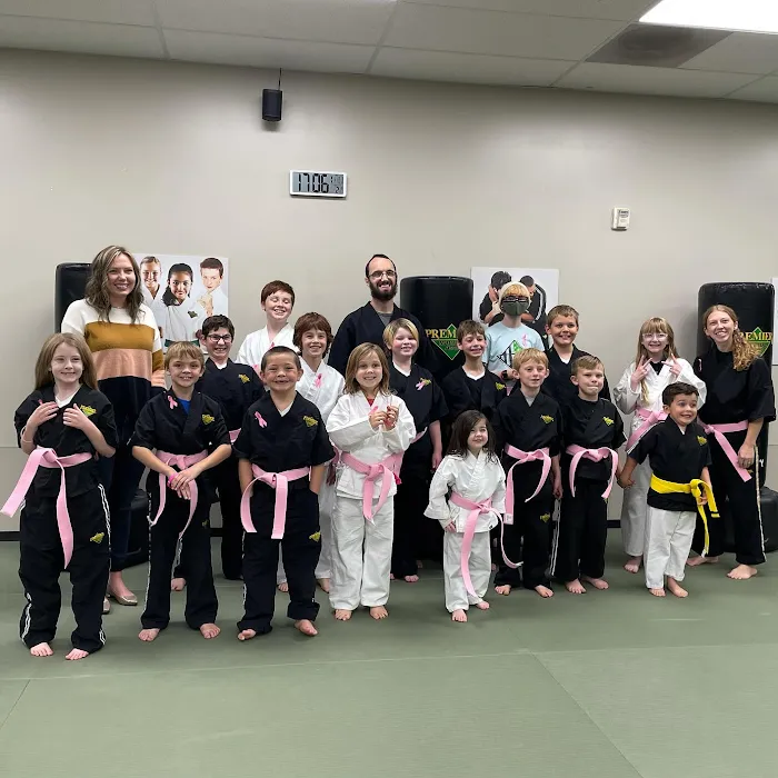 Premier Martial Arts Riverton Picture 9