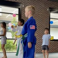 WS TAEKWONDO ico