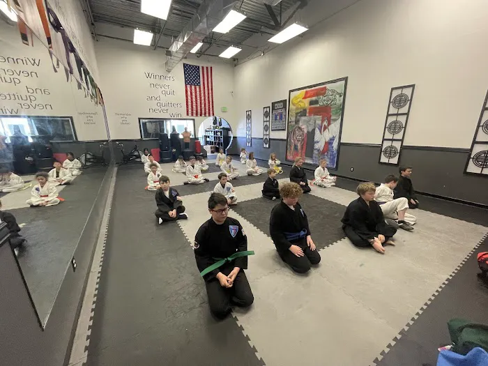 TruMotion Martial Arts - South Jordan Picture 10