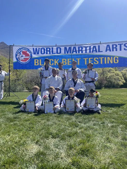 World Martial Arts - South Jordan Picture 8