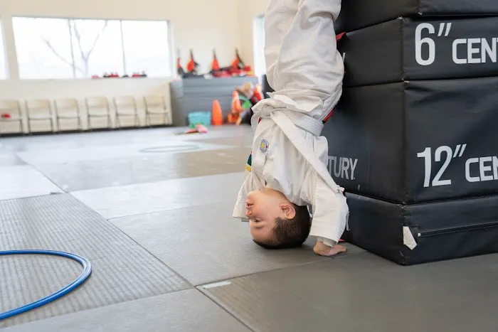 AMYS Martial Arts Picture 9