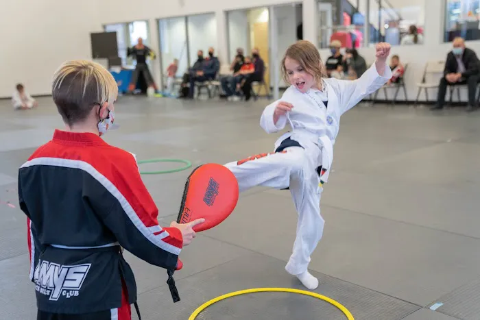 AMYS Martial Arts Picture 3