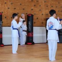 US TaeKwonDo ico