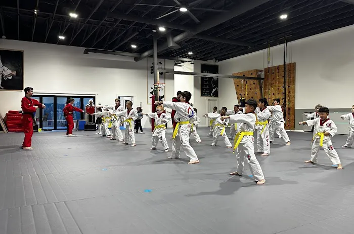 K-TAEKWONDO Picture 2