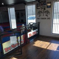 Twin Tigers Tae Kwon Do Utah ico