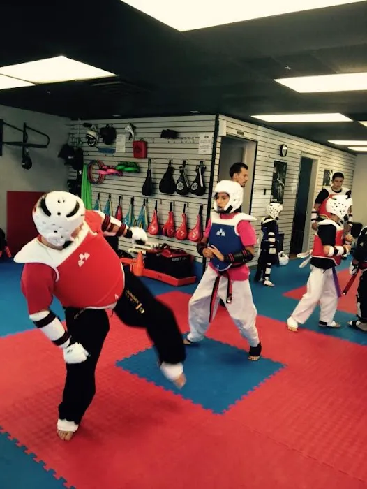 Twin Tigers Tae Kwon Do Utah Picture 7