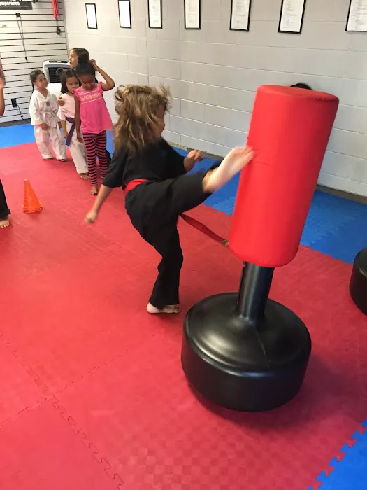 Twin Tigers Tae Kwon Do Utah Picture 4
