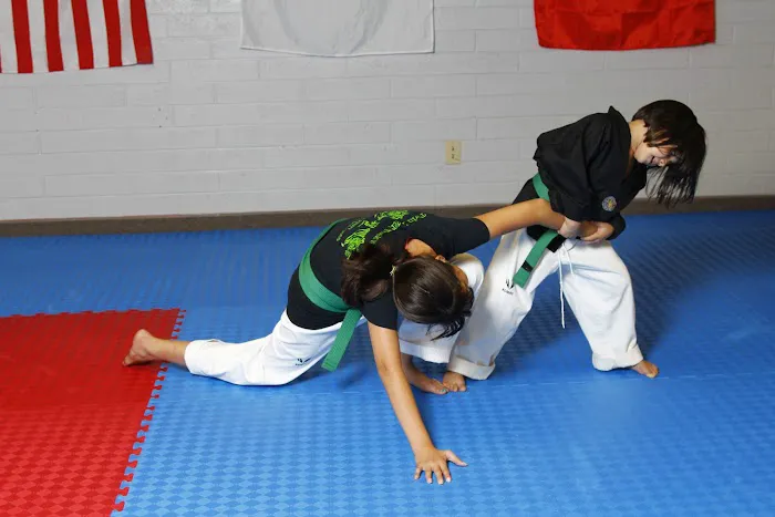 Twin Tigers Tae Kwon Do Utah Picture 10