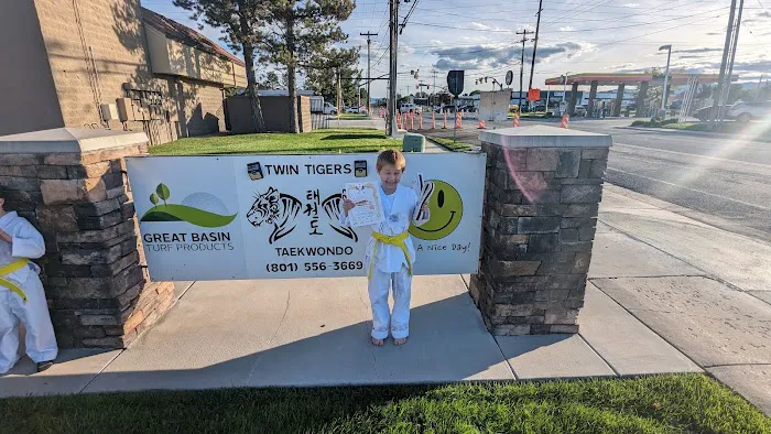 Twin Tigers Tae Kwon Do Utah Picture 8