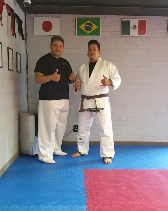 Twin Tigers Tae Kwon Do Utah Picture 2