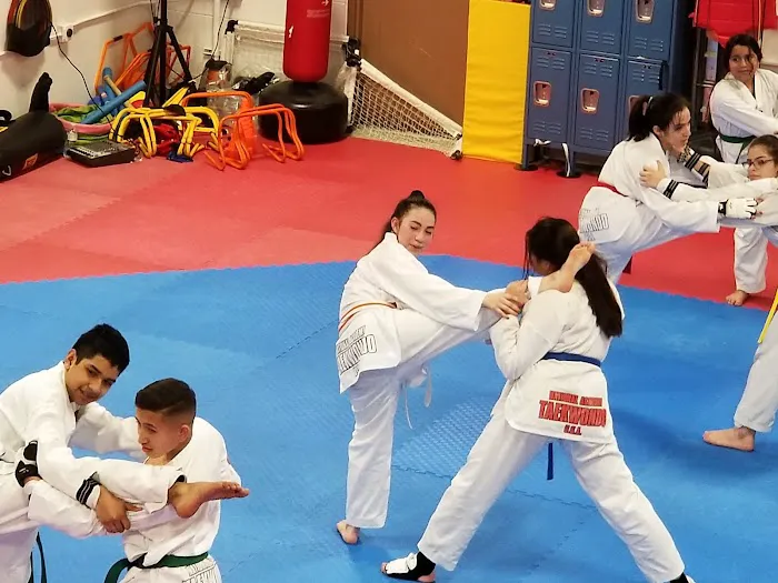 MASTER JARED TAEKWONDO Picture 3