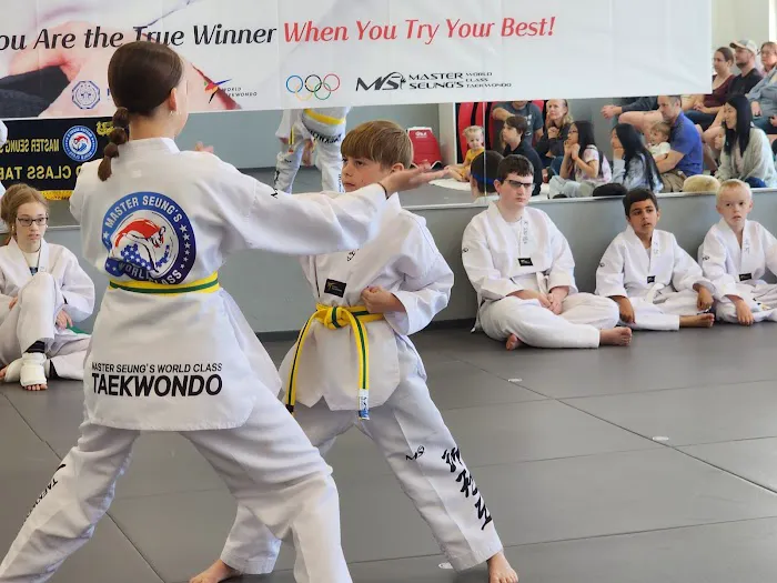 Master Seung's World Class Tae Kwon Do Picture 1
