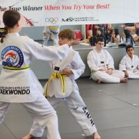 Master Seung's World Class Tae Kwon Do ico