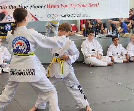 Master Seung's World Class Tae Kwon Do