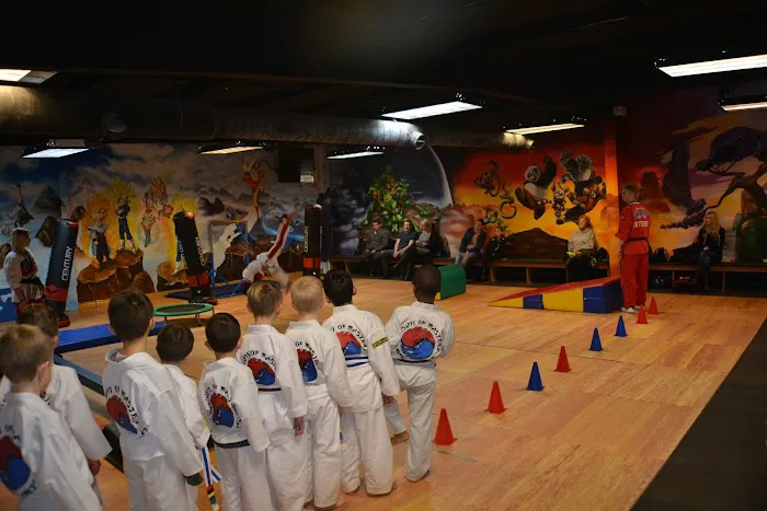 Pursuit of Mastery Martial Arts Picture 9
