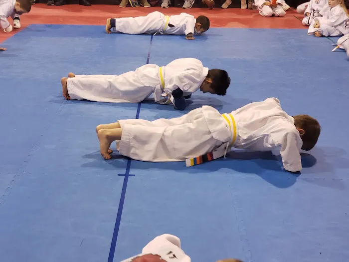 Pursuit of Mastery Martial Arts Picture 1