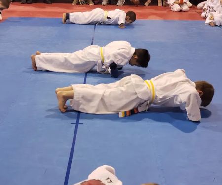 Pursuit of Mastery Martial Arts