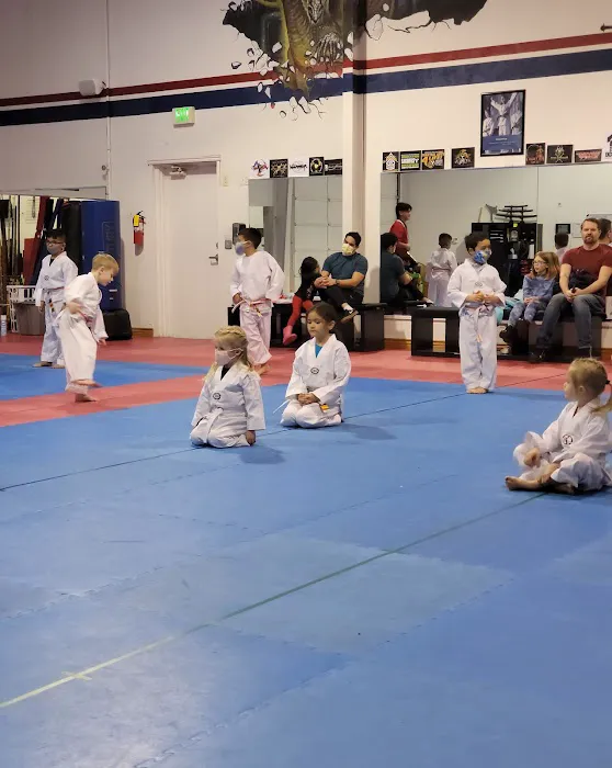 Pursuit of Mastery Martial Arts Picture 10