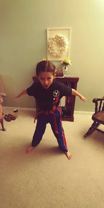 Pursuit of Mastery Martial Arts Picture 2