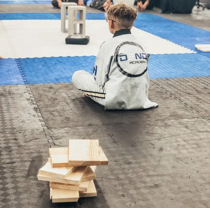 Denda Academy of Martial Arts Picture 1