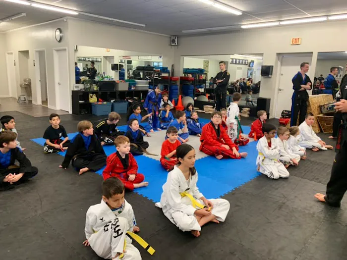 Denda Academy of Martial Arts Picture 6