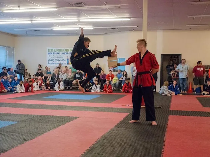 Denda Academy of Martial Arts Picture 7