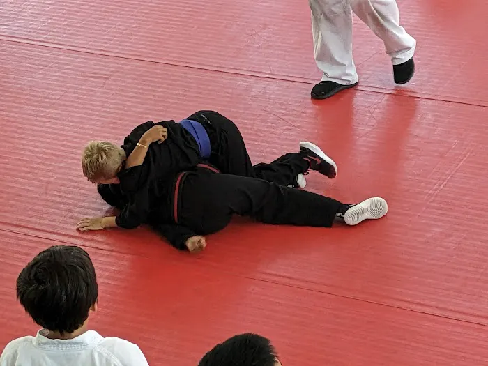 TruMotion Martial Arts - West Jordan Picture 5