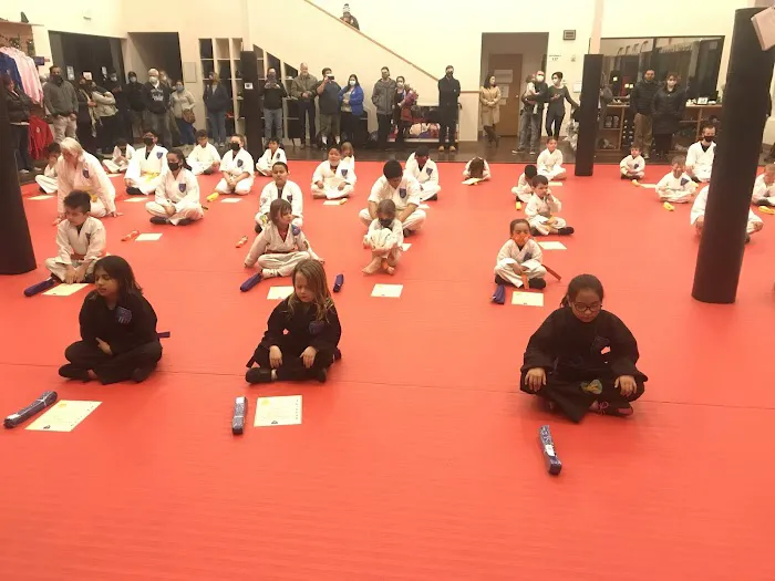 TruMotion Martial Arts - West Jordan Picture 8