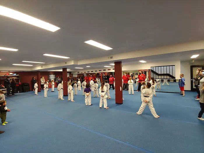 WestWind Karate Sandy Picture 4
