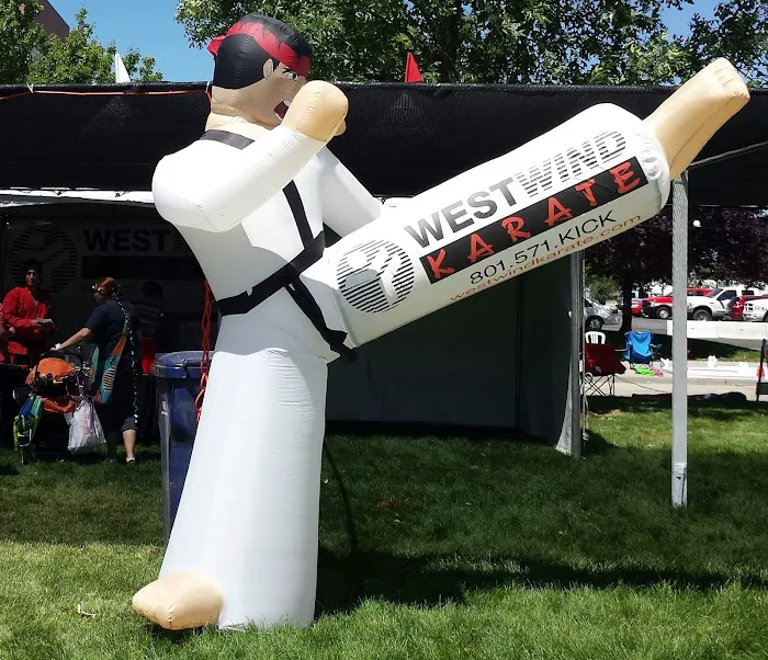WestWind Karate Sandy Picture 3