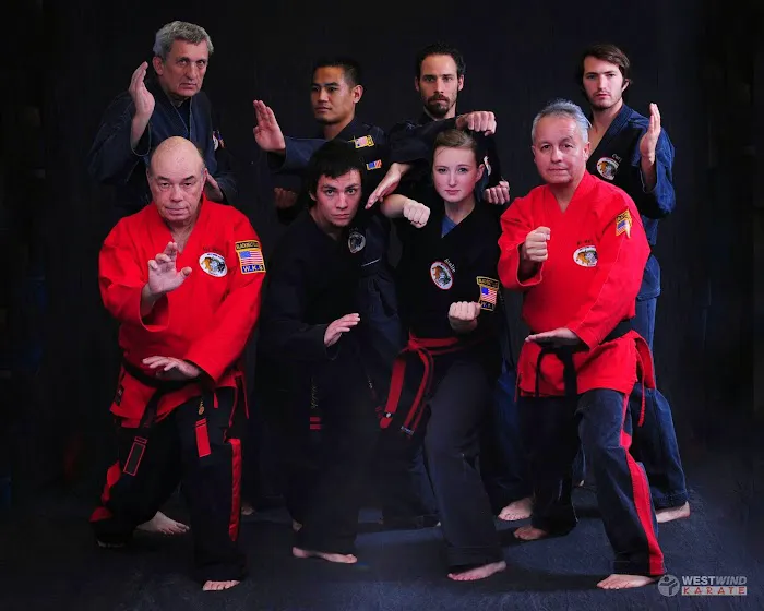 WestWind Karate Sandy Picture 8