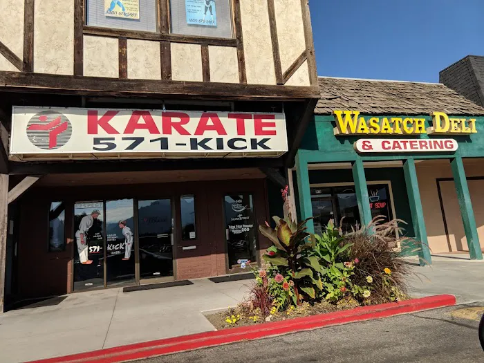 WestWind Karate Sandy Picture 9
