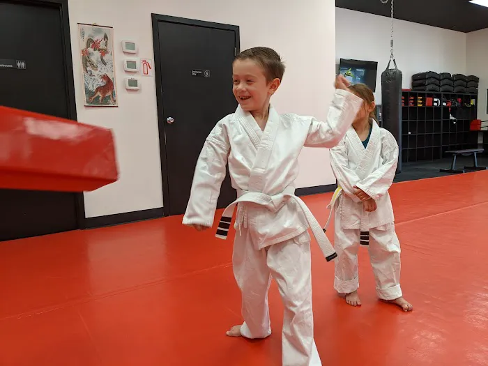 Level Up Martial Arts Picture 5