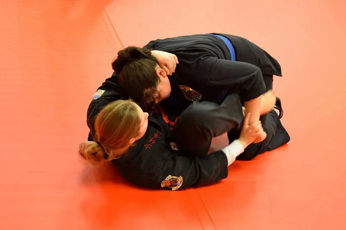 Level Up Martial Arts Picture 4