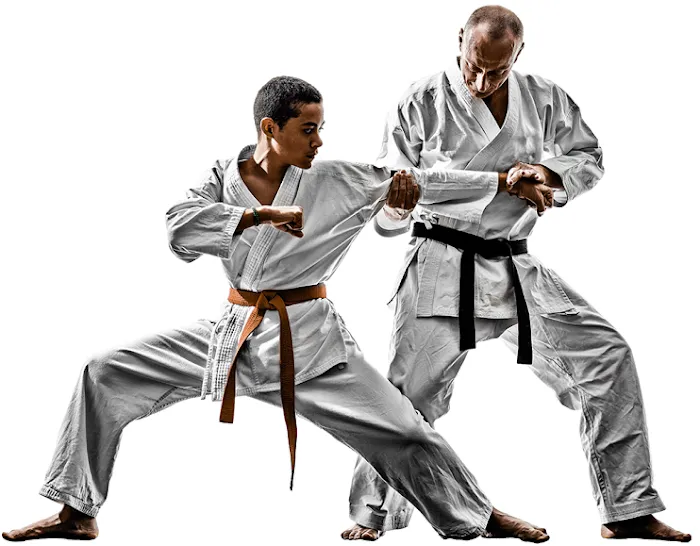 International Martial Arts Academy Picture 9