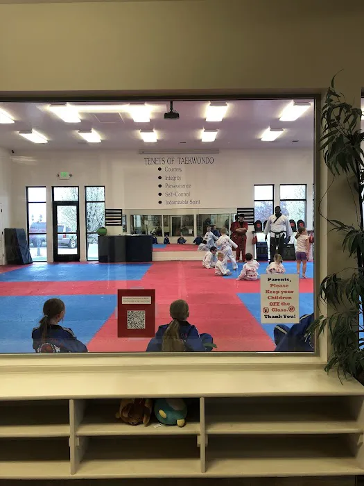 International Martial Arts Academy Picture 5