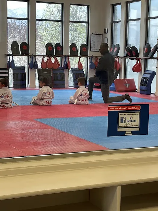International Martial Arts Academy Picture 1