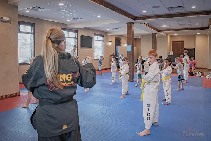 Ning Tae Kwon Do Picture 7