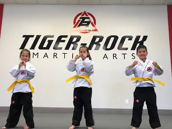 Tiger Rock Martial Arts Picture 1