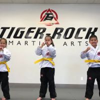 Tiger Rock Martial Arts ico