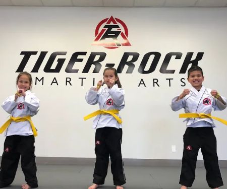 Tiger Rock Martial Arts
