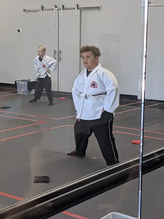Tiger Rock Martial Arts Picture 4