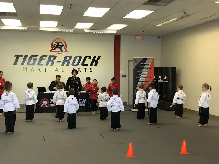Tiger Rock Martial Arts Picture 7