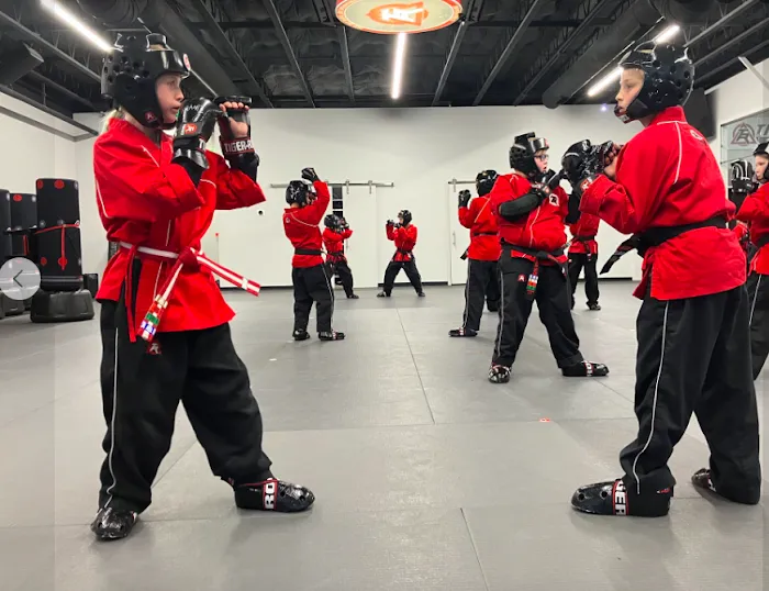 Tiger Rock Martial Arts Picture 8