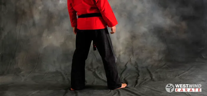 WestWind Karate Midvale Picture 8
