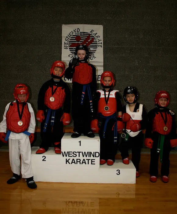 WestWind Karate Midvale Picture 7