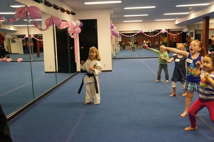 WestWind Karate Midvale Picture 4