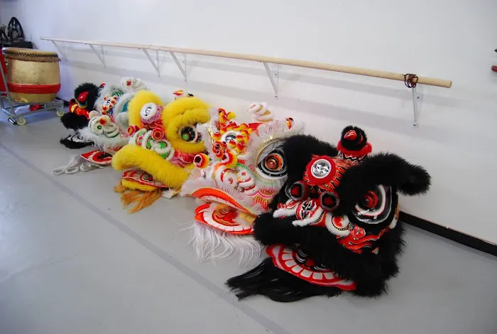 Shao Long Academy of Chinese Martial Arts Picture 2