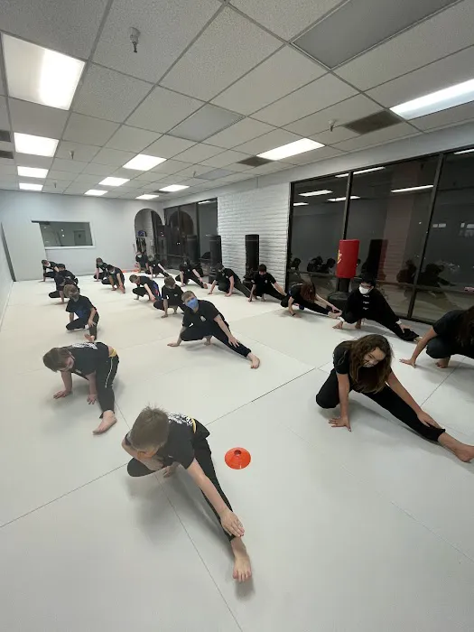 Jin's kungfu martial arts Picture 3